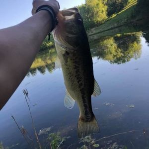 Meet your Posher, Hunter